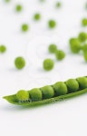 Vegetable 이미지 (125985727) - 게티이미지뱅크 Vegetable