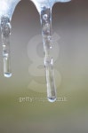 Two Icicles 이미지 (106406390) - 게티이미지뱅크 Two Icicles