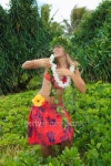 hawaiian hula danced by a teenage girl 이미지 (119595444) - 게티이미지뱅크 hawaiian hula danced by a teenage girl