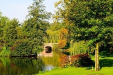 Pond in the park 이미지 (183291317) - 게티이미지뱅크 Pond in the park