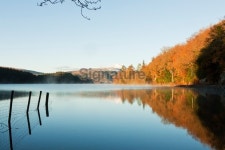 Dawn on a still Loch Ard, Trossachs, Scotland. 이미지 (183320542) - 게티이미지뱅크 Dawn on a still Loch Ard, Trossachs... 