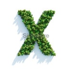Letter X: Top View 이미지 (182705535) - 게티이미지뱅크 Letter X: Top View