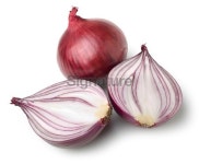 Red onions 이미지 (182497105) - 게티이미지뱅크 Red onions