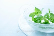 Fresh mint on plate of glass. 이미지 (105951179) - 게티이미지뱅크 Fresh mint on plate of glass.