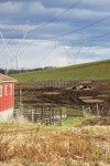 Rural Farm Cows and Massive Electric Power Pylons 이미지 (183245731) - 게티이미지뱅크 Rural Farm Cows and Massive Electric... 