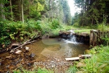 Small waterfall in polish wood 이미지 (146962593) - 게티이미지뱅크 Small waterfall in polish wood