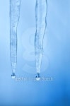two icicles 이미지 (105871453) - 게티이미지뱅크 two icicles