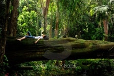 woman relaxing in the forest 이미지 (104510802) - 게티이미지뱅크 woman relaxing in the forest