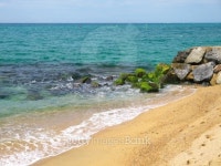 Some Seashore 이미지 (125551279) - 게티이미지뱅크 Some Seashore