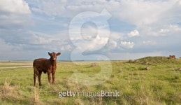 Farming and Industry 이미지 (151535497) - 게티이미지뱅크 Farming and Industry