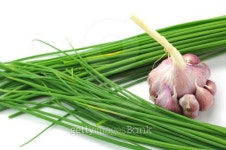 Spring onions, Early Italian Purple Garlic 이미지 (119357634) - 게티이미지뱅크 Spring onions, Early Italian Purple Garlic