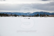 Dog Sledding on the frozen lake 이미지 (106406716) - 게티이미지뱅크 Dog Sledding on the frozen lake