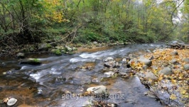 Panorama of a wild river 이미지 (176892062) - 게티이미지뱅크 Panorama of a wild river