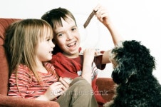 Feed the Pooch 이미지 (146960965) - 게티이미지뱅크 Feed the Pooch