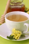 Herbal tea with primroses and honey 이미지 (103971428) - 게티이미지뱅크 Herbal tea with primroses and honey