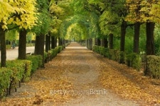 Park 이미지 (119580879) - 게티이미지뱅크 Park