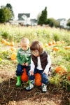 young brother and sister sit on pumpkins at farm 이미지 (183274750) - 게티이미지뱅크 young brother and sister sit on pumpkins... 