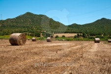 hay bale 이미지 (104878119) - 게티이미지뱅크 hay bale