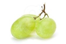 Grape fruit 이미지 (152117533) - 게티이미지뱅크 Grape fruit
