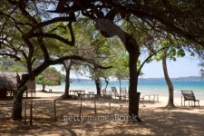 Rustic Tropical Beach 이미지 (104195384) - 게티이미지뱅크 Rustic Tropical Beach