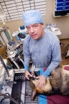 Veterinarian with dog pre-operation 이미지 (95816177) - 게티이미지뱅크 Veterinarian with dog pre-operation