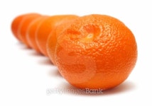 mandarins in row 이미지 (104253497) - 게티이미지뱅크 mandarins in row