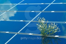 Solar panel with chamomile 이미지 (119149005) - 게티이미지뱅크 Solar panel with chamomile