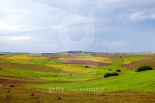 Agriculture in Burma 이미지 (146968747) - 게티이미지뱅크 Agriculture in Burma
