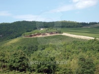 Tuscany 이미지 (119787970) - 게티이미지뱅크 Tuscany