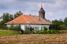 Abandoned old Hungarian Church with stork 이미지 (148997382) - 게티이미지뱅크 Abandoned old Hungarian Church with stork