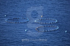 Fish farm 이미지 (152958654) - 게티이미지뱅크 Fish farm