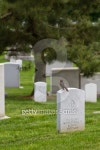 military cemetery respects 이미지 (153527746) - 게티이미지뱅크 military cemetery respects