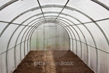 Greenhouse  inside 이미지 (168315670) - 게티이미지뱅크 Greenhouse  inside
