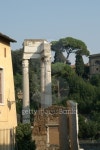 Temple of Apollo 이미지 (153550457) - 게티이미지뱅크 Temple of Apollo