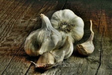 Garlic Clove on rustic wood 이미지 (126821559) - 게티이미지뱅크 Garlic Clove on rustic wood