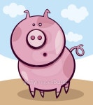 Surprised pig 이미지 (126999373) - 게티이미지뱅크 Surprised pig