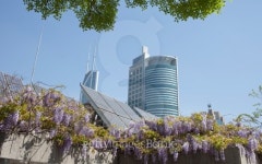 solar enegy generator at shanghai city 이미지 (153171626) - 게티이미지뱅크 solar enegy generator at shanghai city