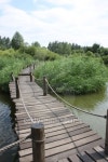 Wooden bridge in a park, Harbin, China 이미지 (176830517) - 게티이미지뱅크 Wooden bridge in a park, Harbin, China