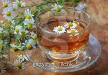 Herbal chamomile tea 이미지 (153584676) - 게티이미지뱅크 Herbal chamomile tea