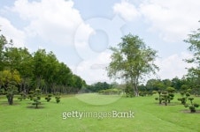 Decoration park and tree 이미지 (137338857) - 게티이미지뱅크 Decoration park and tree