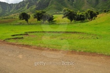 Huge animal footprint in a field by road 이미지 (134715539) - 게티이미지뱅크 Huge animal footprint in a field by road