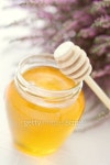 herbal honey 이미지 (134221217) - 게티이미지뱅크 herbal honey