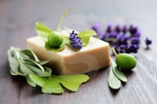 herbal soap 이미지 (153170534) - 게티이미지뱅크 herbal soap