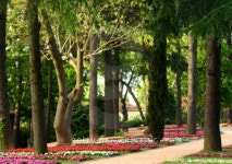 green park 이미지 (115798701) - 게티이미지뱅크 green park