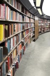 Library 이미지 (111893083) - 게티이미지뱅크 Library