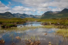Rannoch Moor 이미지 (123211323) - 게티이미지뱅크 Rannoch Moor