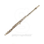 Flute/Isolated on White 이미지 (123944823) - 게티이미지뱅크 Flute/Isolated on White