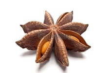 Star Anise 이미지 (184279617) - 게티이미지뱅크 Star Anise