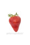 Fresh single strawberry isolated on white 이미지 (137145633) - 게티이미지뱅크 Fresh single strawberry isolated on white