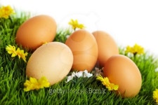 Easter eggs 이미지 (139911789) - 게티이미지뱅크 Easter eggs